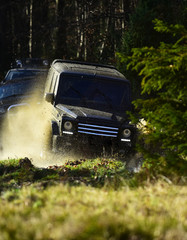 Obraz na płótnie Canvas Motor racing in autumn forest. Rallying, competition and four wheel drive concept. Sport utility vehicle or SUV overcomes obstacles. Offroad race on fall nature background