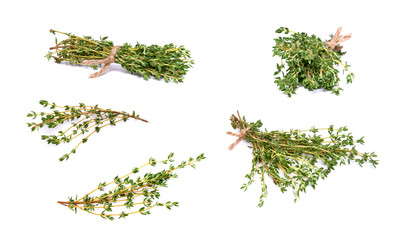 Thyme garden, cooking herb Isolated against a white background.