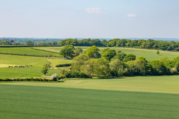 Fototapeta na wymiar Green Sussex Landscape