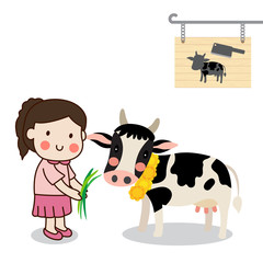 Girl feeding a cow and saving cattle lives from the Slaughterhouse with white background.