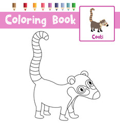 Coloring page of Coati animals for preschool kids activity educational worksheet. Vector Illustration.