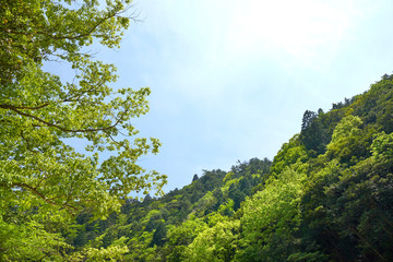 Obraz premium 御在所岳から望む