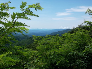 Fototapeta na wymiar beautiful blue ridge parkway view