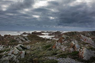 West Point State reserve beach and rugged coastline, Tasmania, Australia