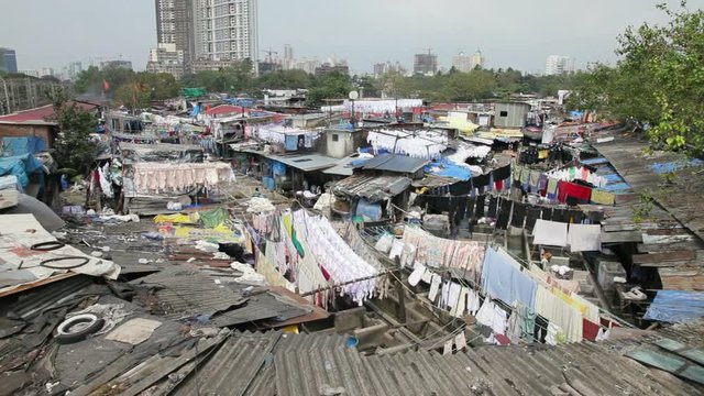 Washing, Dhobi Ghats, Mahalakshmi, Mumbai Bombay, India, Asia
