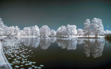 Pond in Tranas