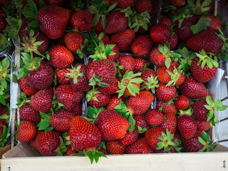Strawberries background in the supermarket