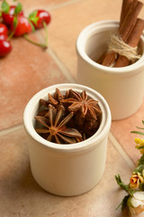 star anise in the clay pot