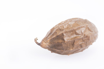 Vegetable sponge - Luffa operculata. White background