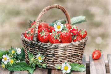 Strawberries in a basket on a wooden table