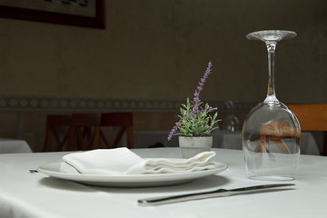 presentacion mesa y plato 4