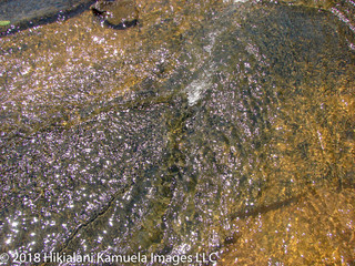 Gentle shallow brook