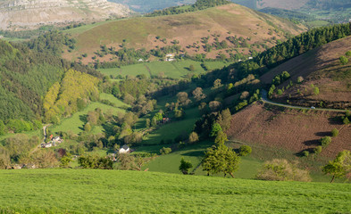 Valley near Llangollen on Horseshoe Pass road