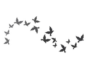 Bird background Template