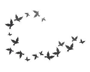Bird background Template