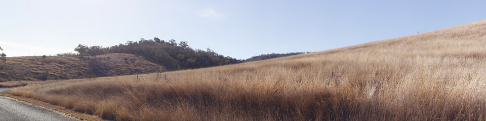 Obraz premium panoramic views of dry grassy drought stricken farm land in Tamworth, NSW, rural Australia