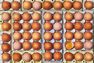 A lot of brown eggs and unique one egg cracked over a egg cartons.