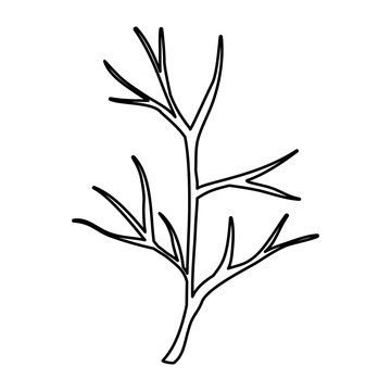 autumn tree branche wooden vector illustration design