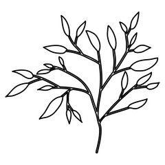 branch with leafs decorative icon vector illustration design