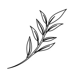 branch with leafs decorative icon vector illustration design