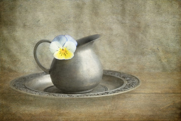 Vintage style textured photograph of a Viola flower in a pewter creamer 