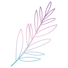 Obraz premium branch with leafs decorative icon vector illustration design