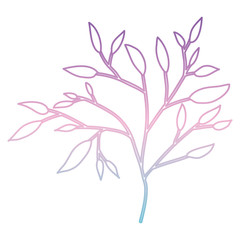 branch with leafs decorative icon vector illustration design