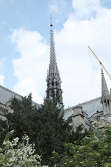 cathedrale