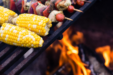 Corn and Kebabs on a Campfire Grill 