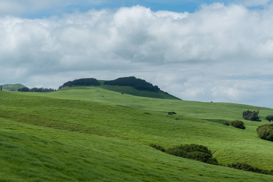 Beautiful Kohala meadow vista on the Big Island of Hawaii