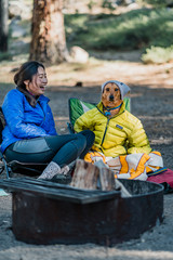 dog dressed as human while camping  - 207218974
