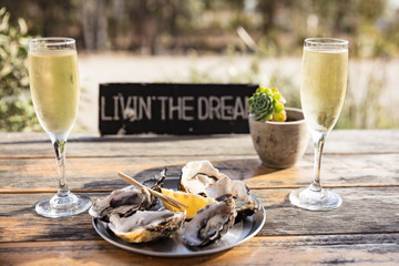 Livin' the dream champagne and oysters on Bruny Island in Tasmania, Australia © Michael Evans