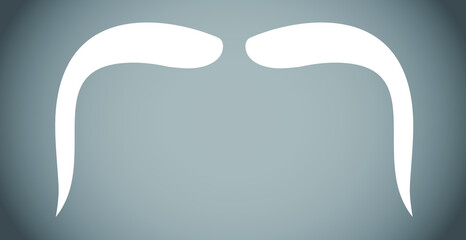 White respectable beard