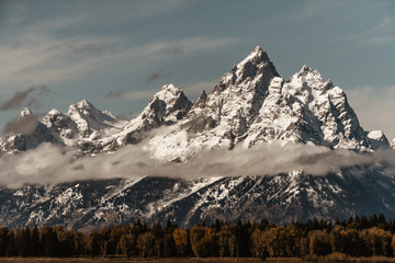 Teton Tips 