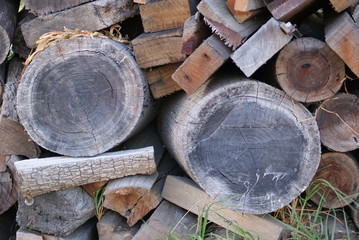 timber stack