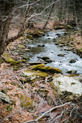 Upstate New York Stream