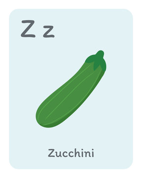 Vegetable and fruit english alphabet. Z letter. Zucchini vector illustration.