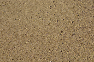 Fine Grain Beach Sand from Beach