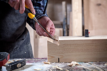 Close up experienced carpenter in work clothes and small buiness owner working in woodwork workshop,  using chisel for cutting out of wood  in workshop  on the table is a hammer and many tools