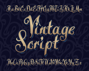 Vector vintage script font with extruded volume effect