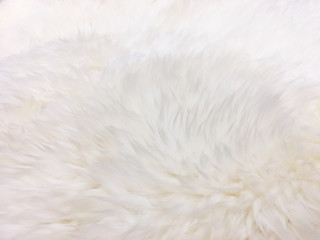 White soft wool texture background, cotton wool, light natural sheep wool, close-up texture of white fluffy fur, wool with beige tone, fur with a delicate peach tint