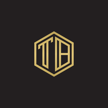 recommend clip art: Initial letter TB, minimalist line art hexagon shape logo, gold color on black background