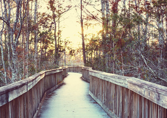 Boardwalk in Everglades
