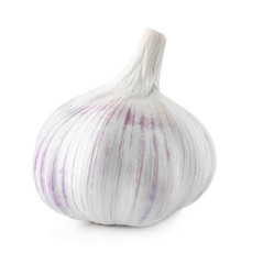 Fresh garlic on white background. Organic food