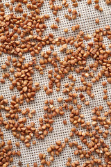 Buckwheat groats on burlap background, top view, close-up, selective focus, shallow depth of field, vertical.