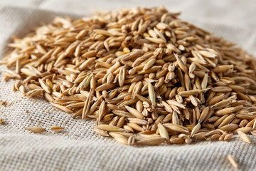 Pile of unpeeled oat grains on homespun tablecloth background, top view, close-up, macro, selective focus.