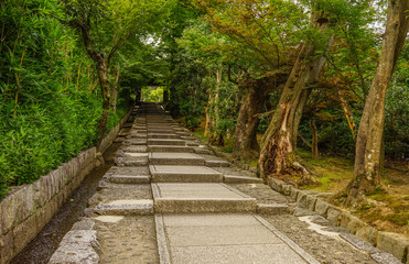Stone path of ancient garden