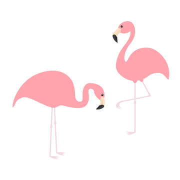 Two pink flamingo icon set. Exotic tropical bird. Zoo animal collection. Cute cartoon character. One leg. Looking on the ground. Decoration element. Flat design. Isolated. White background