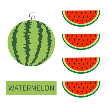 Watermelon fruit icon set. Round water melon. Red slice with seeds in a row. Cut half. Healthy food. Flat lay design. Bright color. Top air view. White background. Isolated.