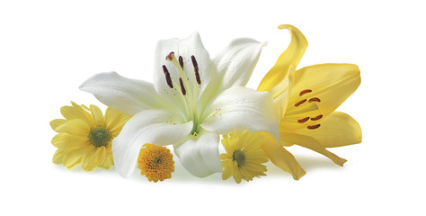 Beautiful white and yellow flower heads - white and yellow lily heads and three different daisy type flower heads creating a tight bunch isolated on white background 
 - obrazy, fototapety, plakaty